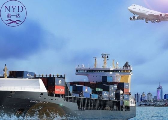 Faster and Good Freight Forwarder With Sea Shipping From China To USA