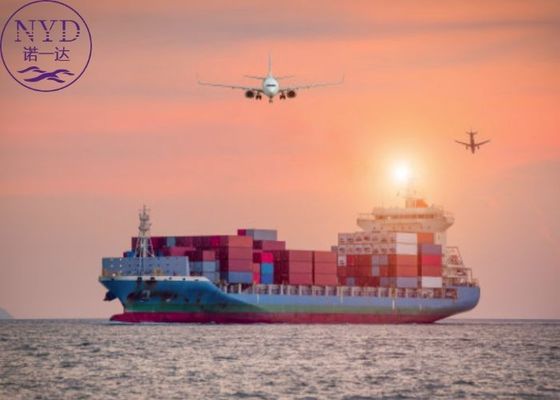 Worldwide Delivery Duty Paid Shipping Tracking Cargo Sea Freight Logistics