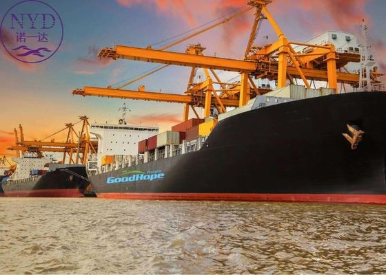 Full Container FCL Sea Freight Forwarder To USA DDP Amazon FBA Freight